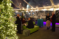 HOLIDAYS AT THE SORRENTO